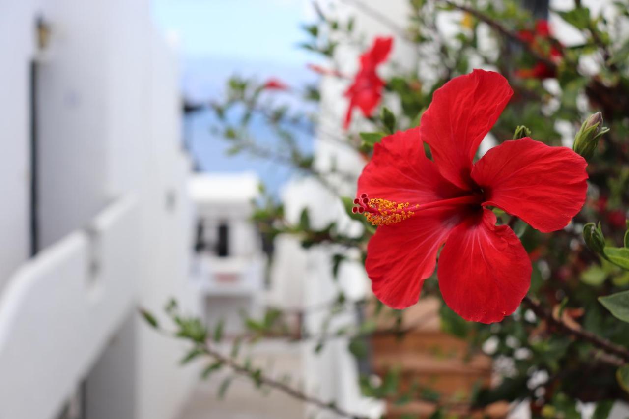 Gáldar Casa Lina Sardina 아파트 외부 사진